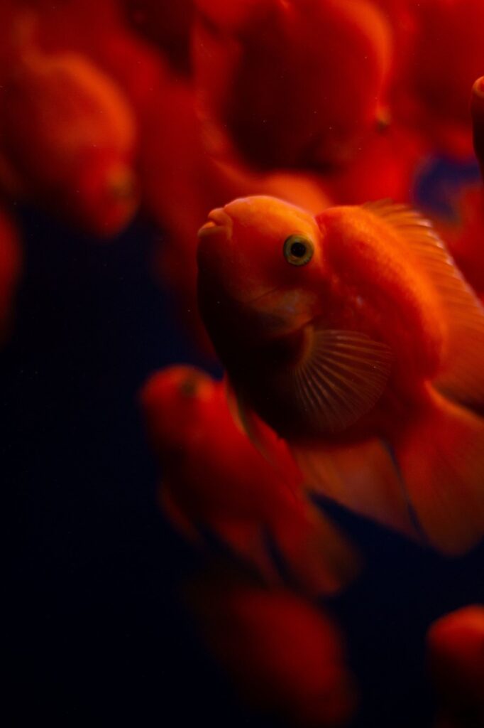 ワインのプレゼントを年末年始に配送するには間に合う方法は？